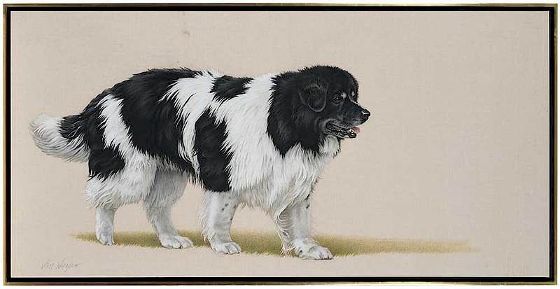 Appraisal: Susan Van Wagoner Florida Virginia th st century Newfoundland Dog