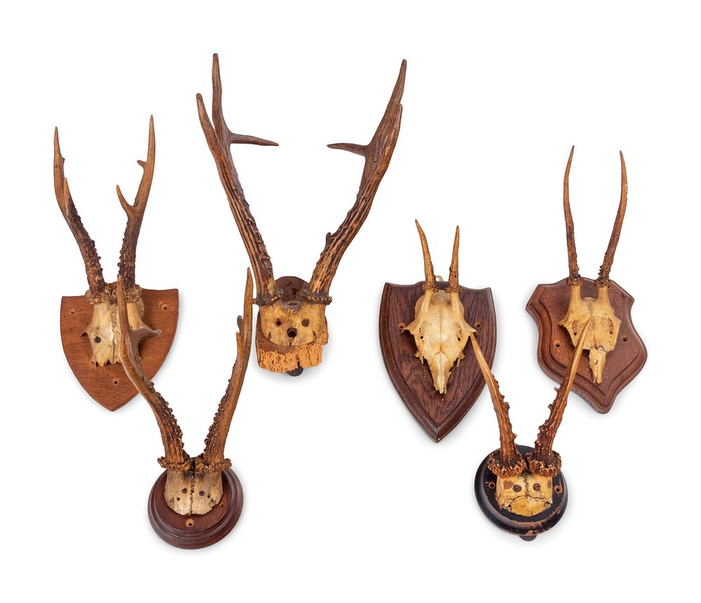 Appraisal: A Collection of Small Antler Mounts A Collection of Small