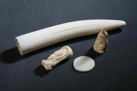 Appraisal: FOUR PIECES HIPPOPOTAMUS IVORY Including tooth polished tooth section and