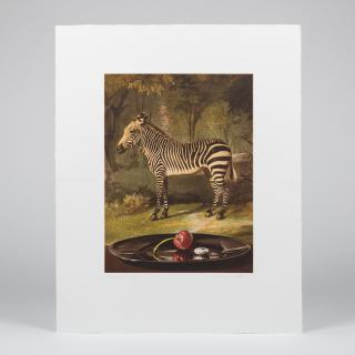 Appraisal: Sherrie Wolf b Zebra Photogravure and aquatint with hand Sherrie