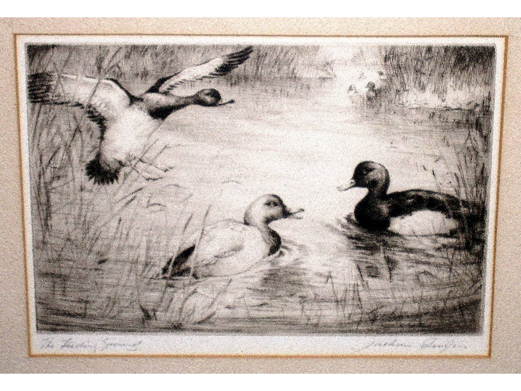 Appraisal: JACKSON SIMPSON Drypoint 'The Feeding Ground' signed and entitled in