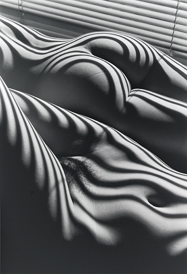 Appraisal: CLERGUE LUCIEN - Two Zebra Nudes New York Silver print