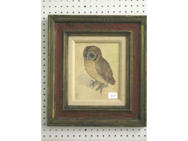 Appraisal: Albrecht Durer Print of an Owl