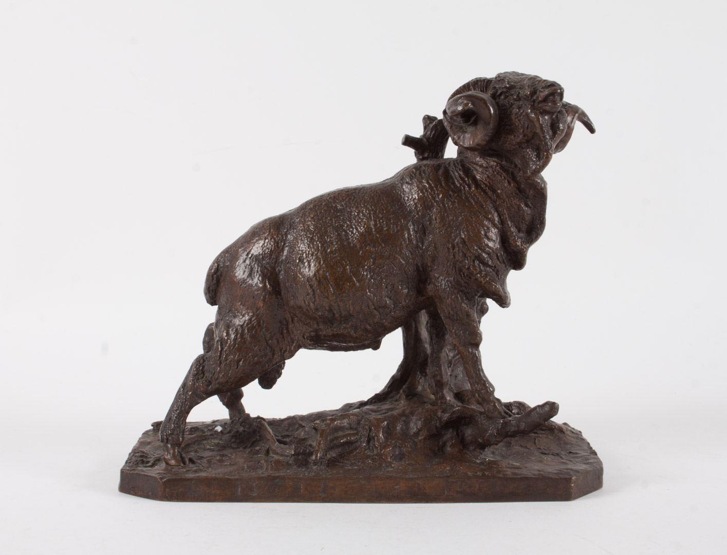 Appraisal: Pierre-Jules Mene Ram bronze French - Modeled as ram by