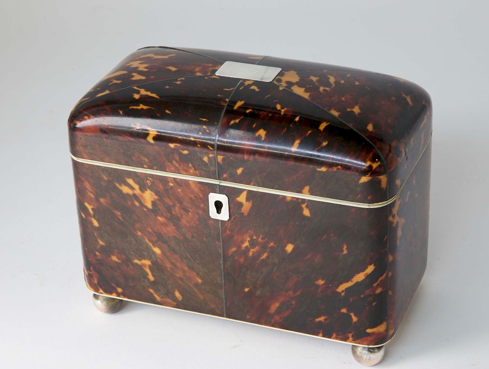 Appraisal: English Regency Tortoiseshell Dome Top Double Compartment Tea Caddy st