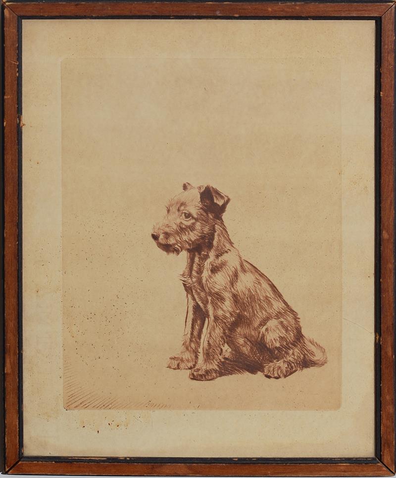 Appraisal: th Century School Scottish Terrier Etching in brown on wove