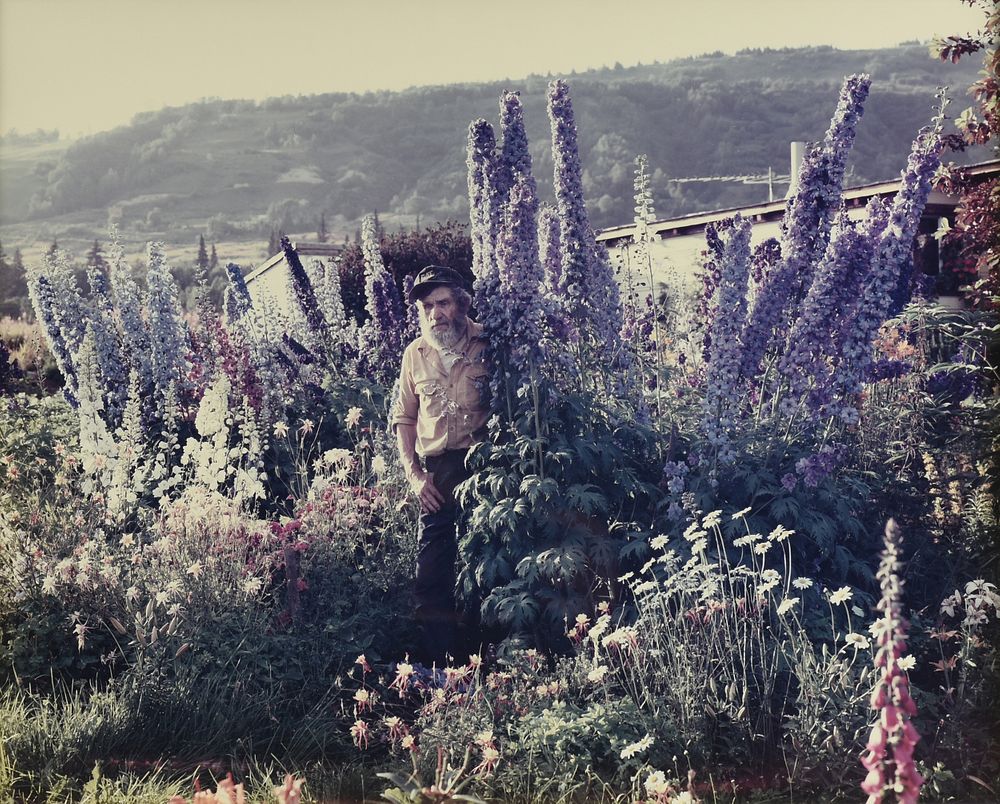 Appraisal: JOEL STERNFELD American b A PHOTOGRAPH A Blind Man in