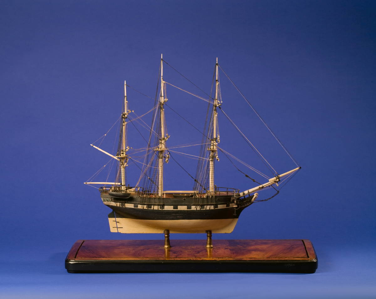 Appraisal: CASED WOOD AND WHALEBONE MODEL OF A WHALESHIP NINETEENTH CENTURY