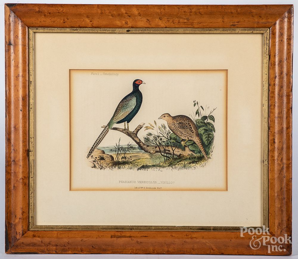 Appraisal: Two color bird lithographs Two color bird lithographs by William