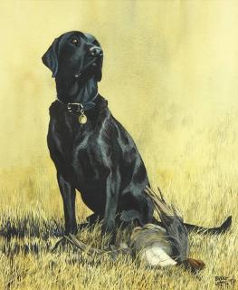 Appraisal: Painting Bruce Lattig Bruce Lattig American b Labrador with Duck