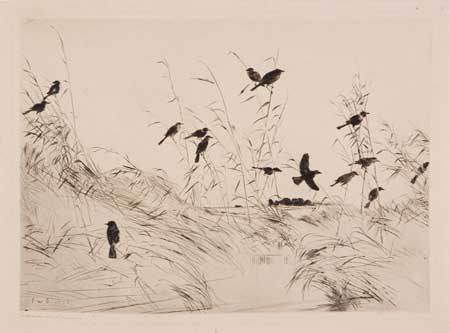 Appraisal: FRANK W BENSON Blackbirds and Rushes Drypoint x mm x