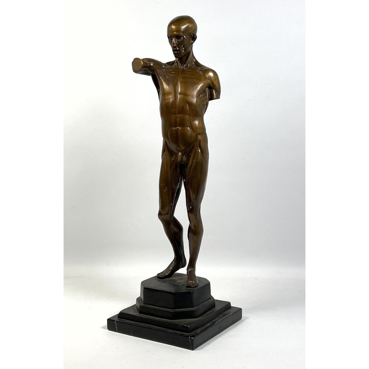 Appraisal: Metal Anatomical Nude Male Figural Sculpture On Base Dimensions H