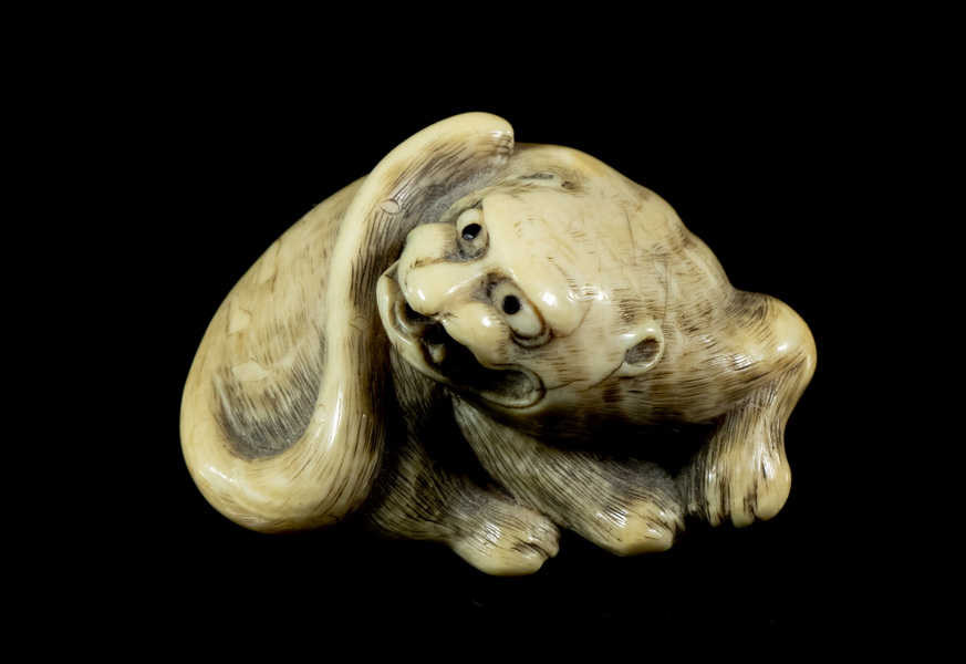 Appraisal: TH C JAPANESE IVORY NETSUKE OF A TIGER Edo Period