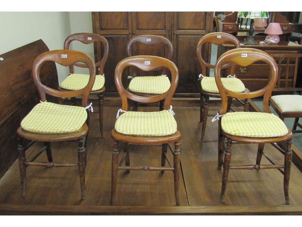 Appraisal: Set of six Victorian mahogany balloon back chairs