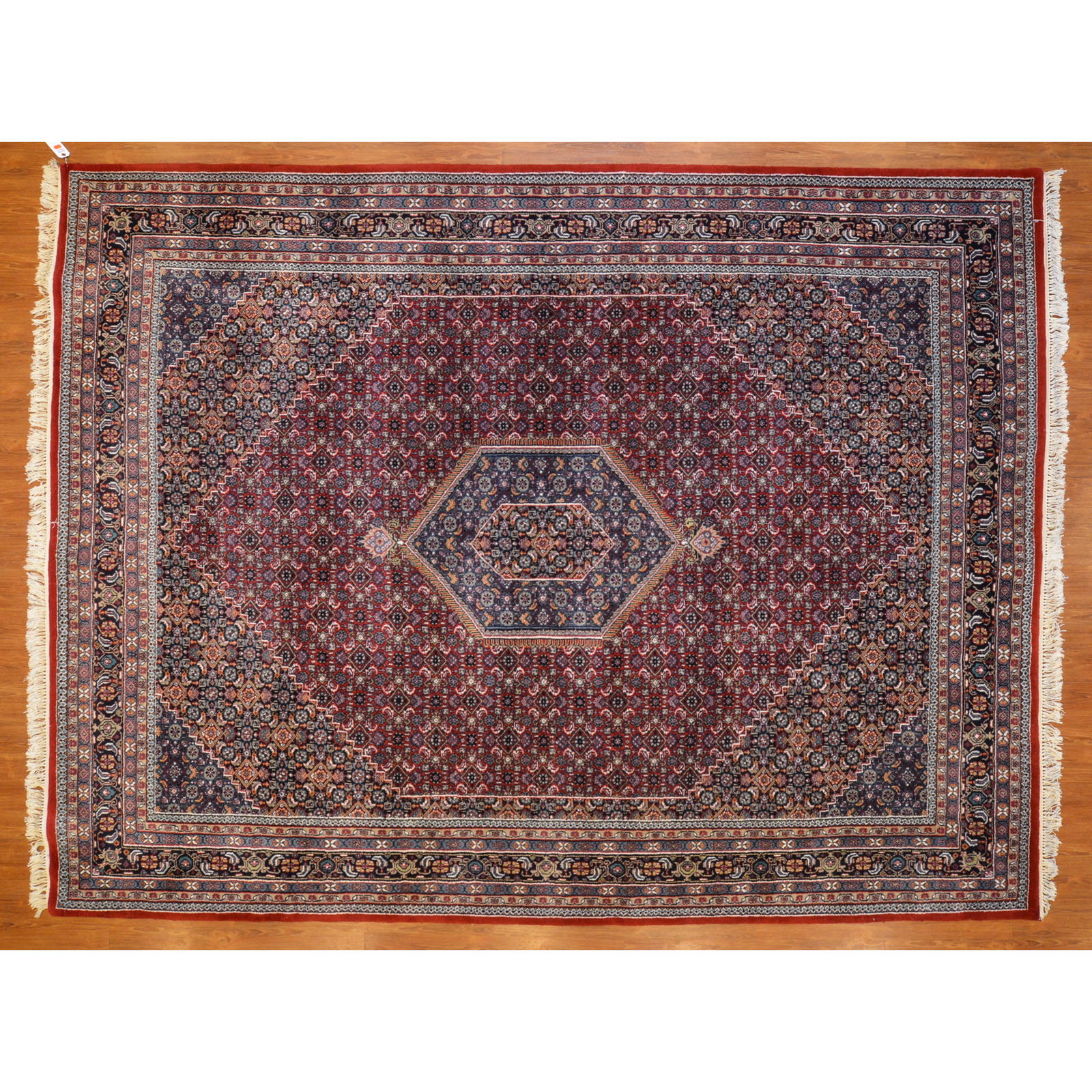 Appraisal: INDO BIJAR RUG INDIA X Fourth quarter- th century hand-knotted