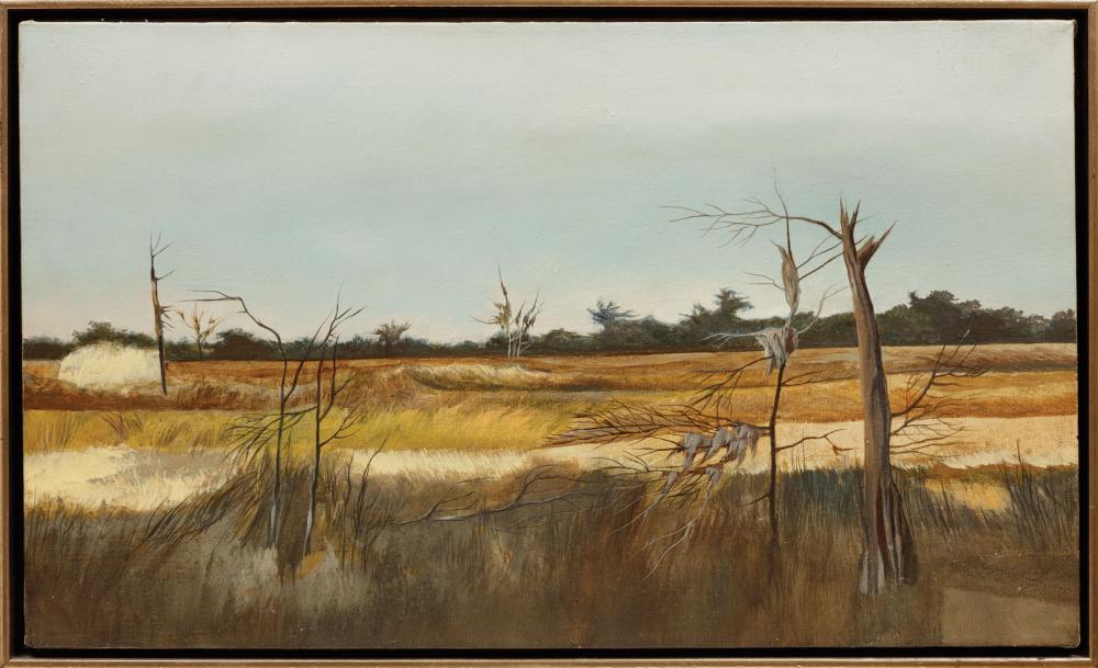 Appraisal: James Lamantia American New Orleans - Open Marsh oil on