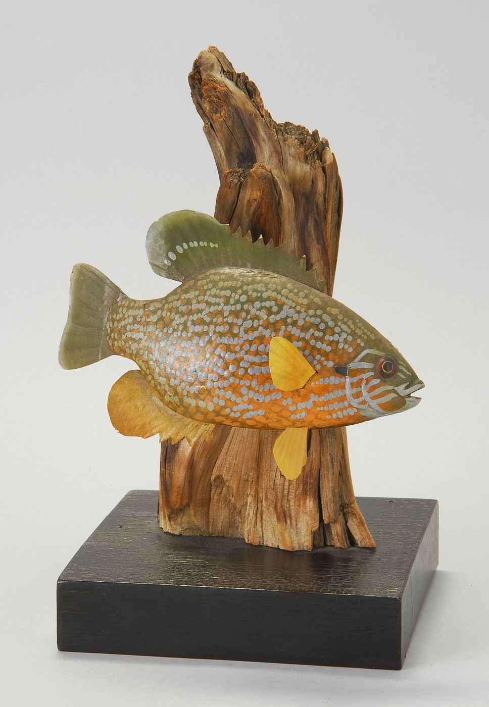 Appraisal: CARVED WOOD SUNFISHBy Peter Thompson Mounted to a driftwood and