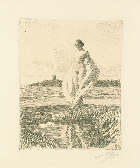 Appraisal: ANDERS ZORN The Swan Etching printed in dark brown on