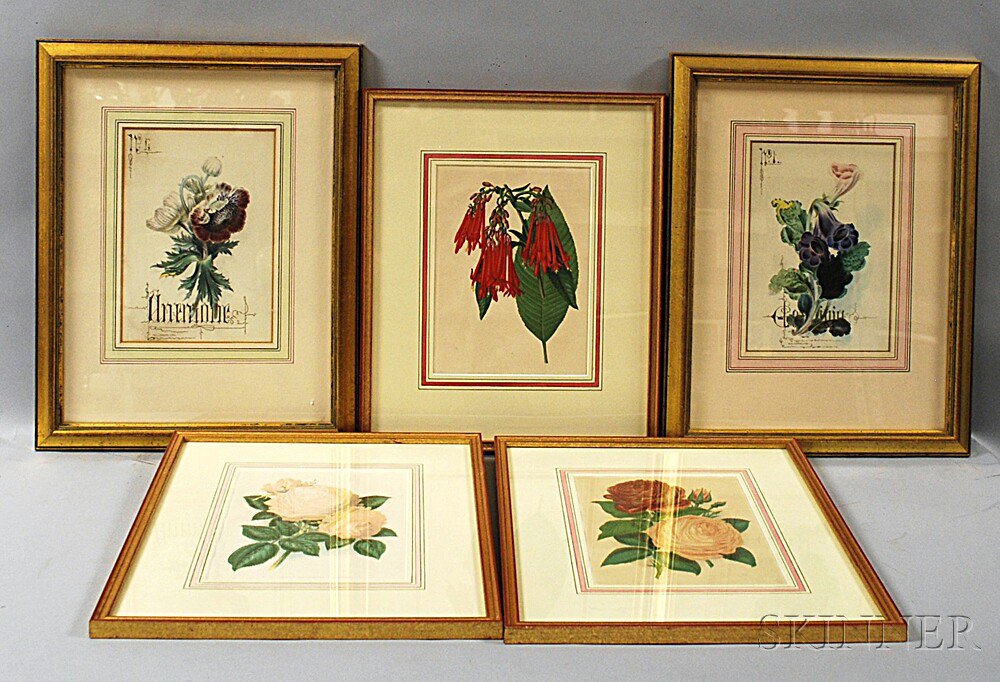 Appraisal: Five Botanical Prints Anemones Roses and Fuchsia Two printed by