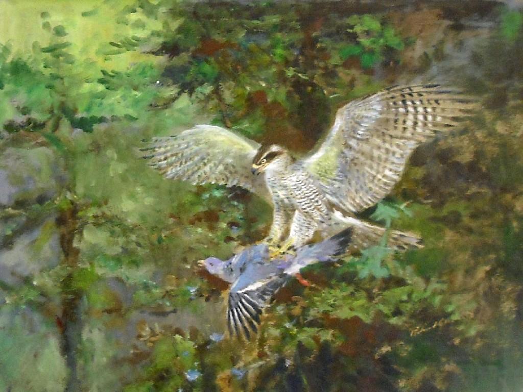 Appraisal: By Roland Green - - 'Goshawk' signed mixed media on