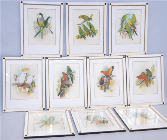 Appraisal: A SERIES OF TEN PARROT PAINTINGS ON SILK Depicting exotic