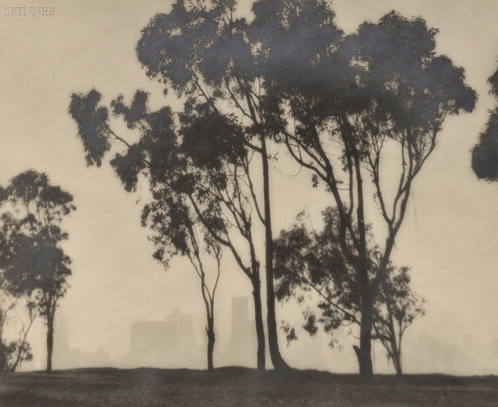 Appraisal: William E Dassonville American - Eucalyptus Trees and San Francisco