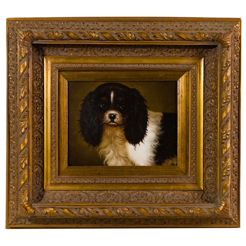 Appraisal: UNKNOWN ARTIST TH CENTURY SPANIEL OIL ON CANVASUndated signed lower