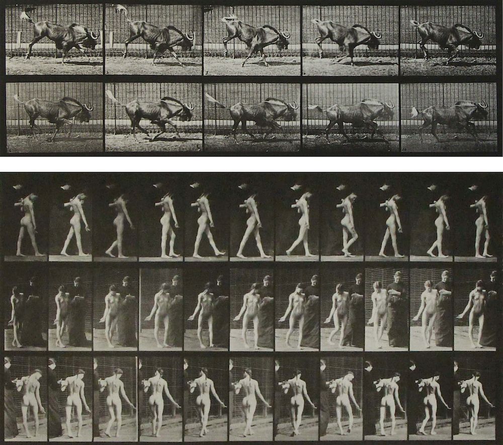 Appraisal: EADWEARD MUYBRIDGE ENGLISH ACTIVE IN AMERICA - Lot of Two