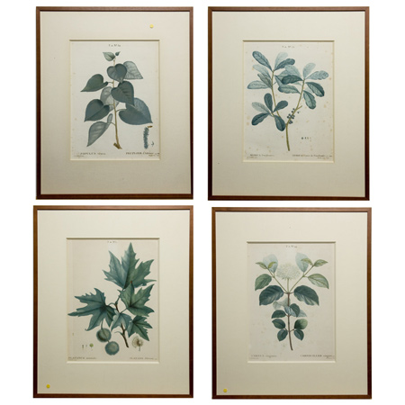 Appraisal: After Pierre-Joseph Redoute PLANT STUDIES Ten hand-colored color stipple engravings