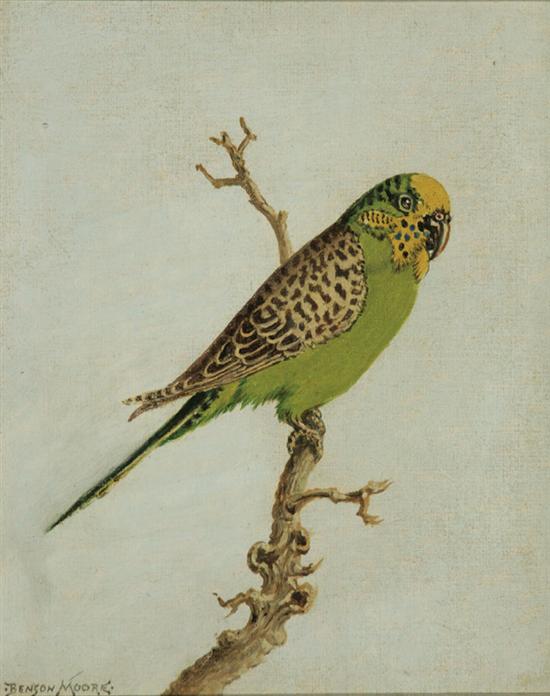 Appraisal: Benson Bond Moore American - Wild Parakeet Sarasota Signed Benson