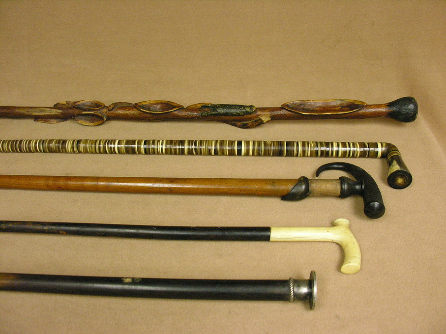 Appraisal: CHOICE OF FIVE CANES