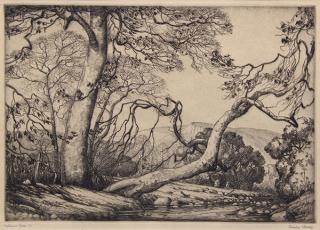 Appraisal: Print Cornelis Botke Cornelis Botke American - Autumn Leaf etching