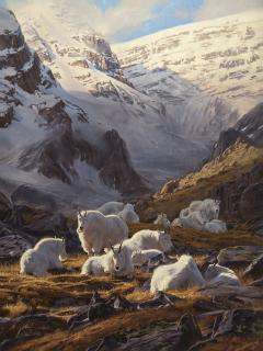 Appraisal: Hidden Valley Goats by Dustin Van Wechel Dustin Van Wechel