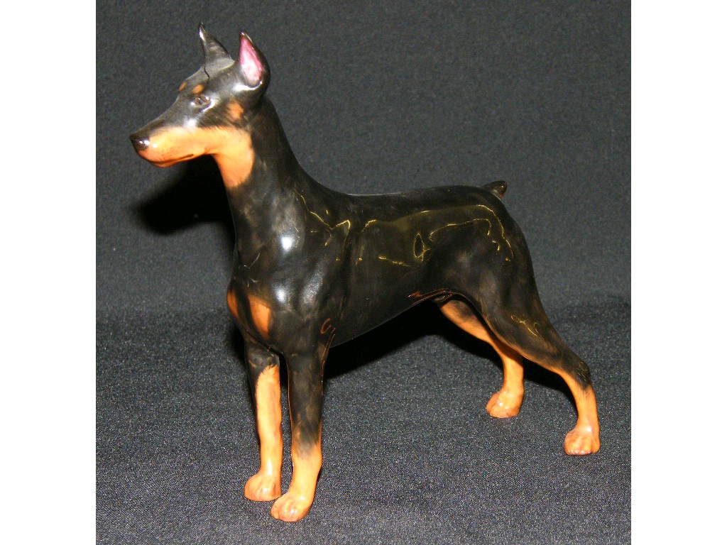 Appraisal: Royal Doulton Dobermann HN Ch Rancho Dobe's Storm high