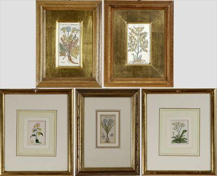 Appraisal: Five Botanical Prints Hand-colored engravings and hand-colored woodblock prints framed