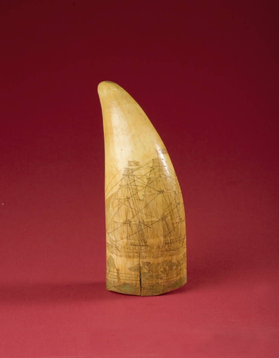 Appraisal: SCRIMSHAW POLYCHROMED WHALE'S TOOTH DEPICTING A WAR SHIP FLYING BRITISH