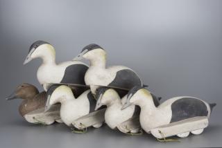 Appraisal: Six Eider Decoys Grayson C Chesser b Six Eider Decoys