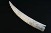 Appraisal: WALRUS TUSK - th C scrimshawn walrus tusk depicting woman