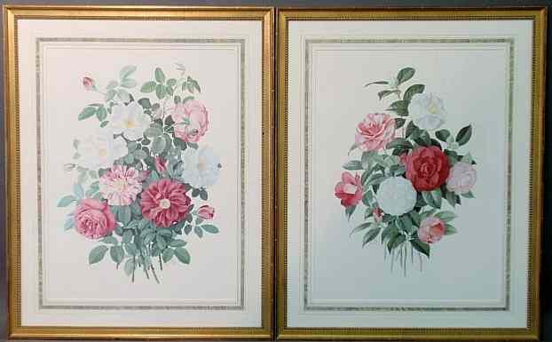 Appraisal: Large pair of framed and matted botanical prints each pencil