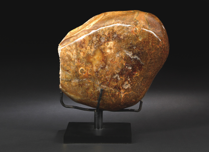 Appraisal: Unusual Polished Specimen of Petrified Wood the roughly ovate-shaped specimen