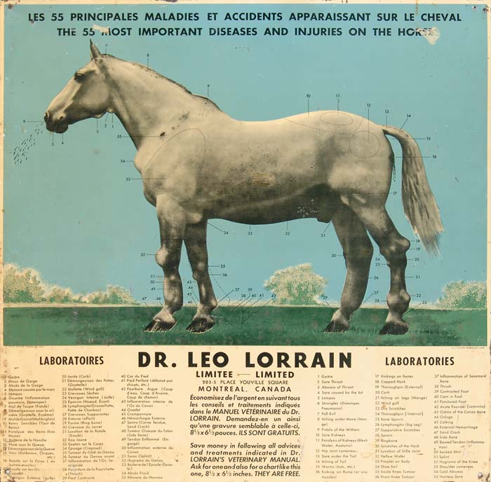 Appraisal: ADVERTISING HORSE SIGN Metal sign for Dr Leo Lorrain Laboratories