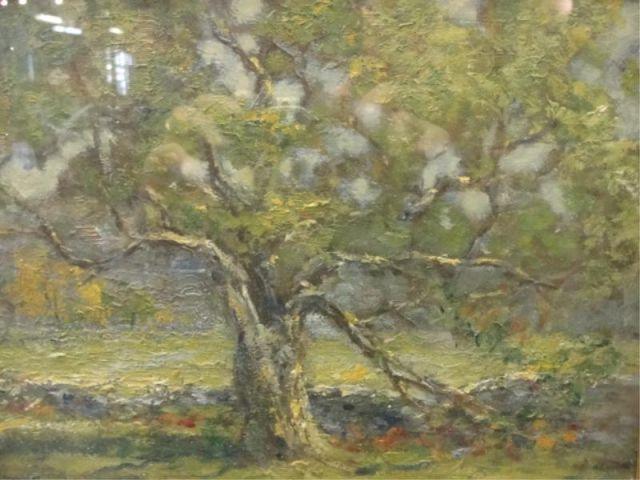 Appraisal: N P Signed Oil of an Impressionist Tree Nice quality