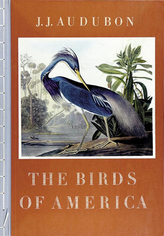 Appraisal: Book Audubon elephant folio Audubon John James THE BIRDS OF