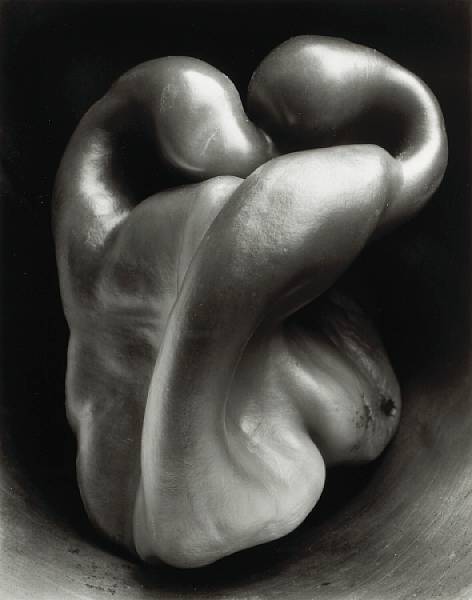 Appraisal: Edward Weston American - Pepper No Gelatin silver print printed