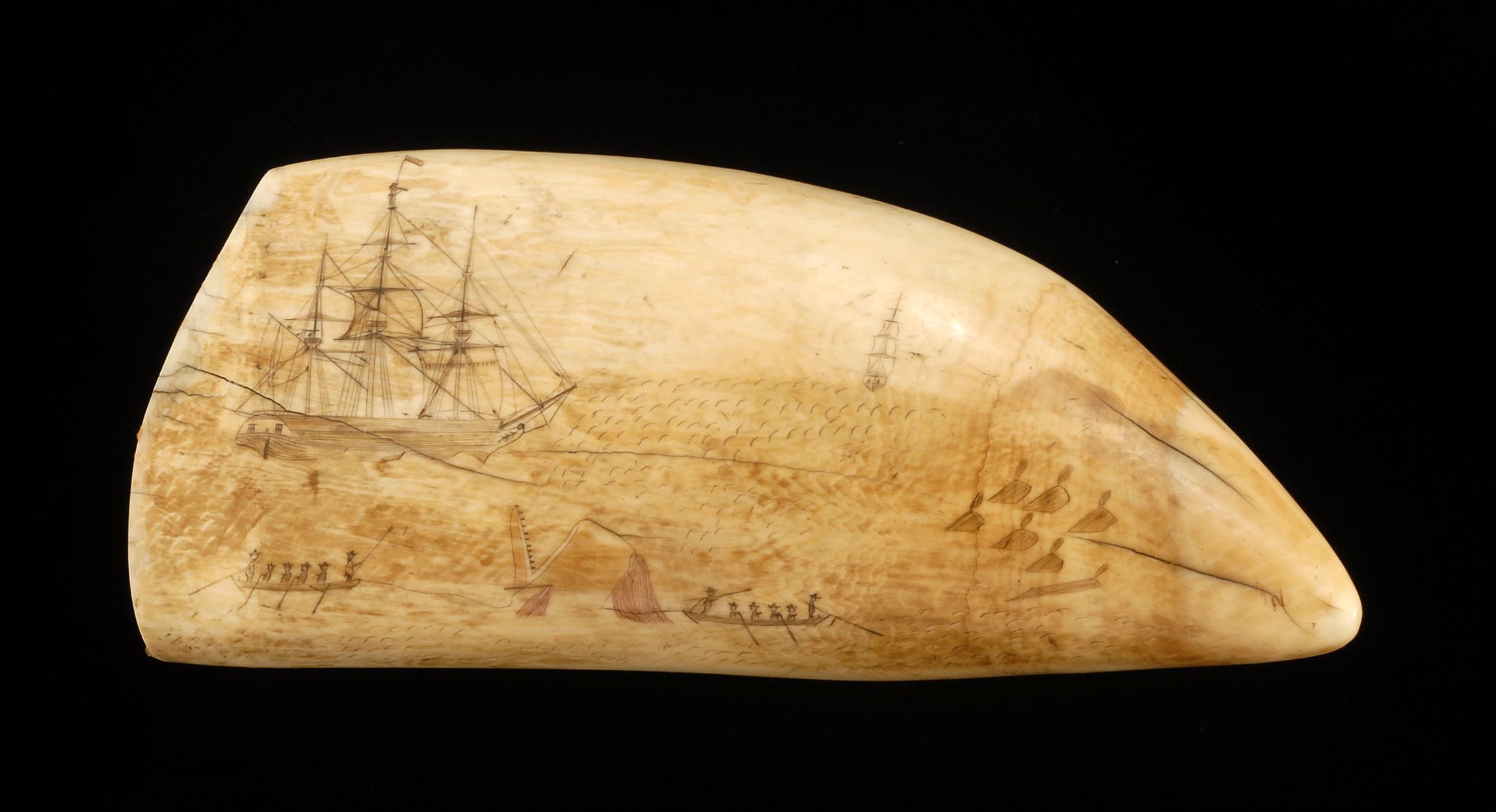 Appraisal: SCRIMSHAW WHALE'S TOOTH American Mid- th CenturyNot available for international