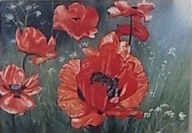 Appraisal: ANN CHERRY British Contemporary 'Red Poppies' signed lower right gouache