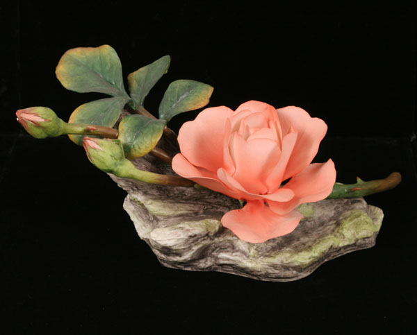 Appraisal: Boehm bisque Tropicana Rose flower - Ltd Edition Approx long