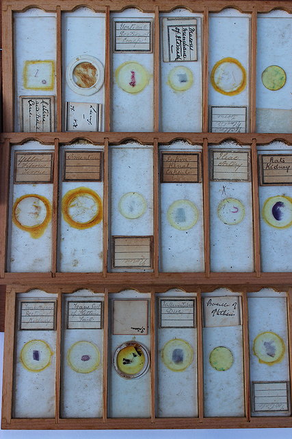 Appraisal: TWO BOXES OF MICROSCOPE SLIDES by various makers to include