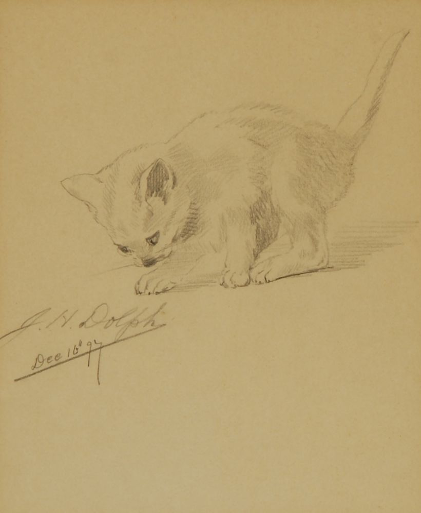 Appraisal: JOHN HENRY DOLPHAmerican - Sketch of a kitten Signed and