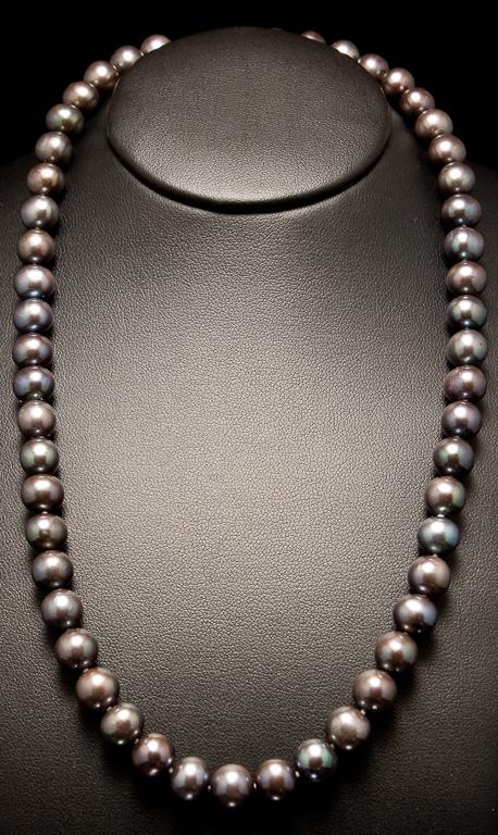 Appraisal: Lady's K yellow gold and cultured black pearl necklace in